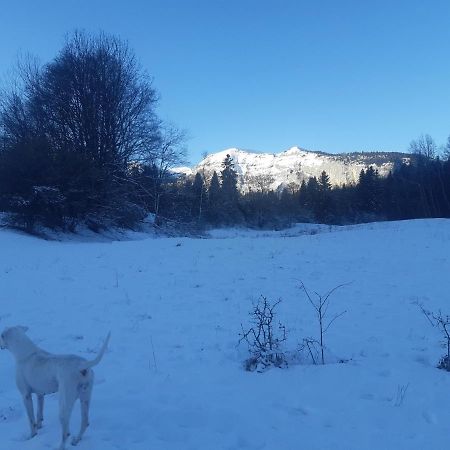 Appartement En Station De Ski A 700 M Des Telecabines Et 100 M Du Centre-Village Les Carroz d'Araches Luaran gambar